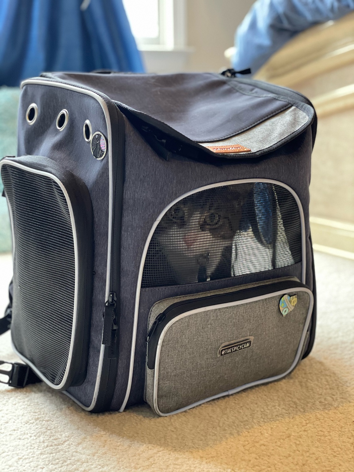12 Cat Backpacks Reviews – Theoretically Teddy