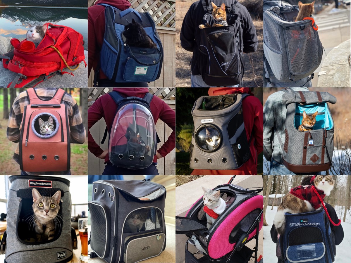 12 Cat Backpacks&nbsp;Reviews