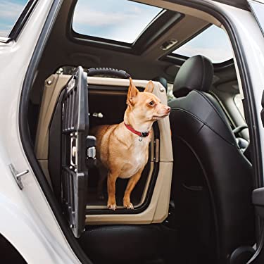 The Ultimate Guide to Car Travel With a Cat – Theoretically Teddy