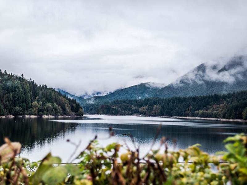 Best Easy Rainy Day Trails Near Vancouver (for&nbsp;Cats)