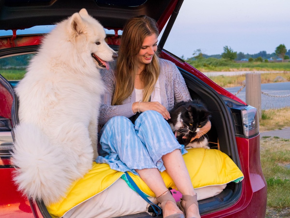 Living in a Tesla with Two Pets – Little Hippie&nbsp;Gal